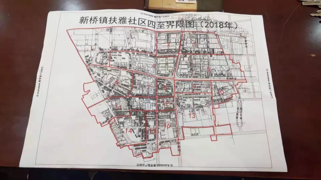关注大动作新桥镇这项大排查大整治与每个人都有关系