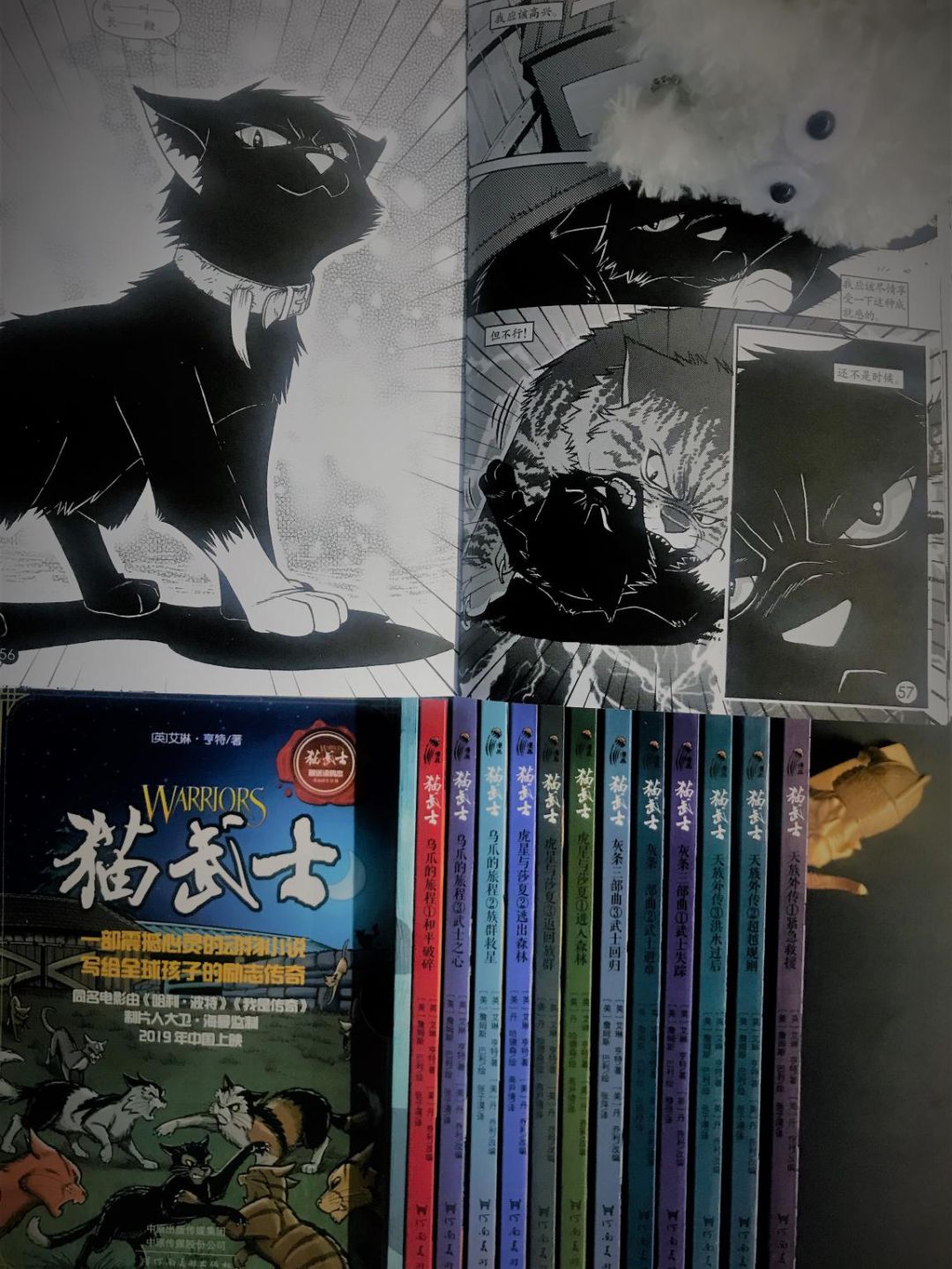 孩子和猫武士一同经历,更能明白人生与成长的意义.