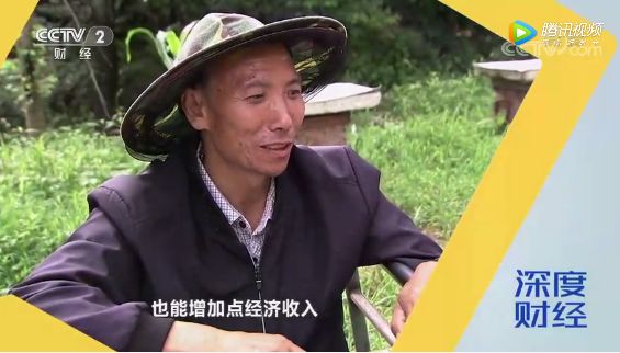 我市这项工作获央视点赞!_勉县