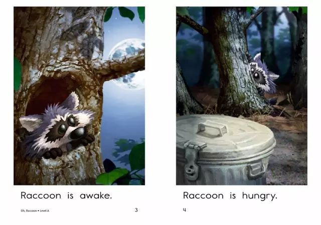 儿童早教英语raza级ohraccoon