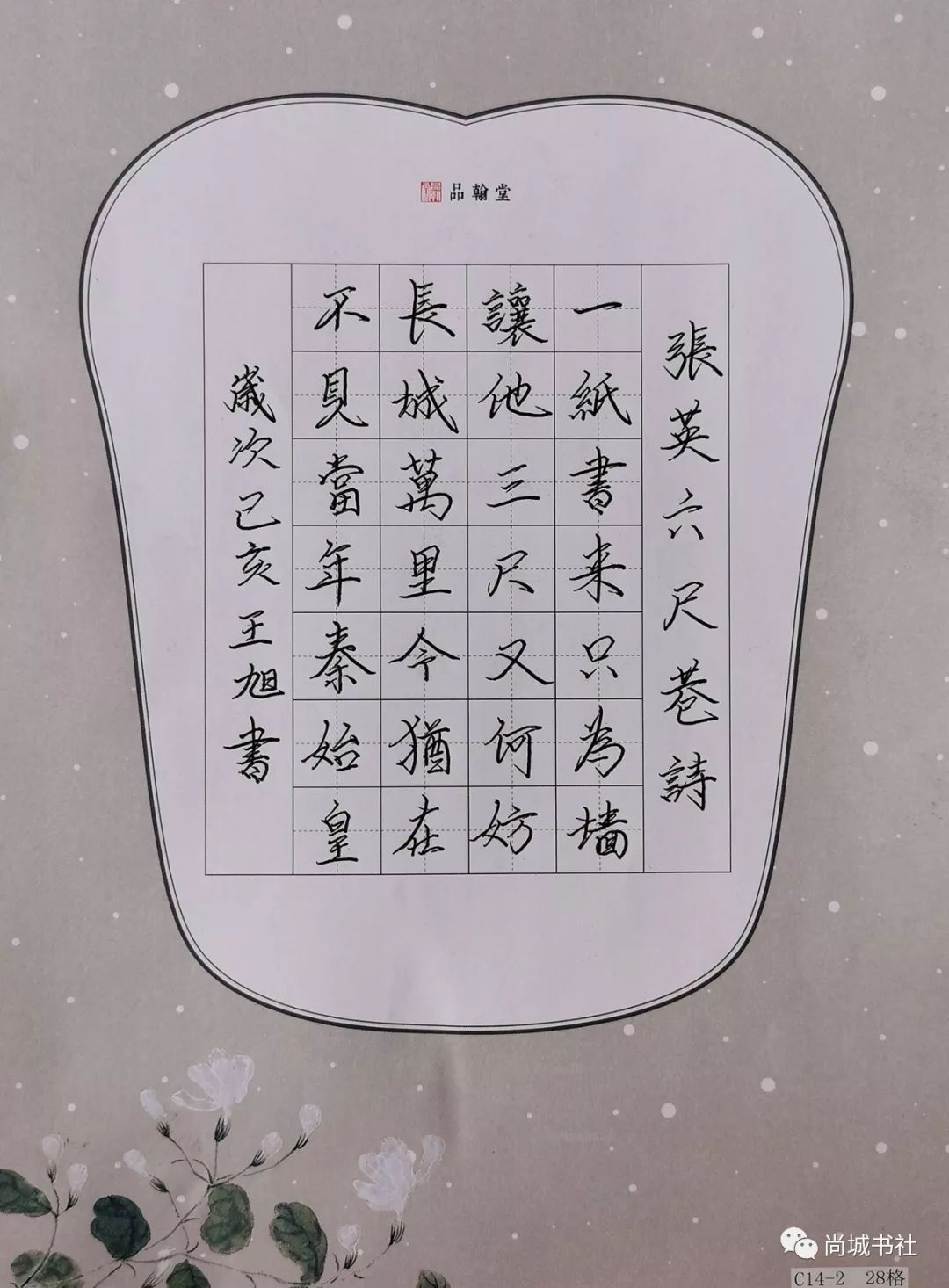王旭李嘉浩凌怡平汪昊熹王熹嶤王雅萱占景轩仰锦心尹晨熙黄昊吴沐樨
