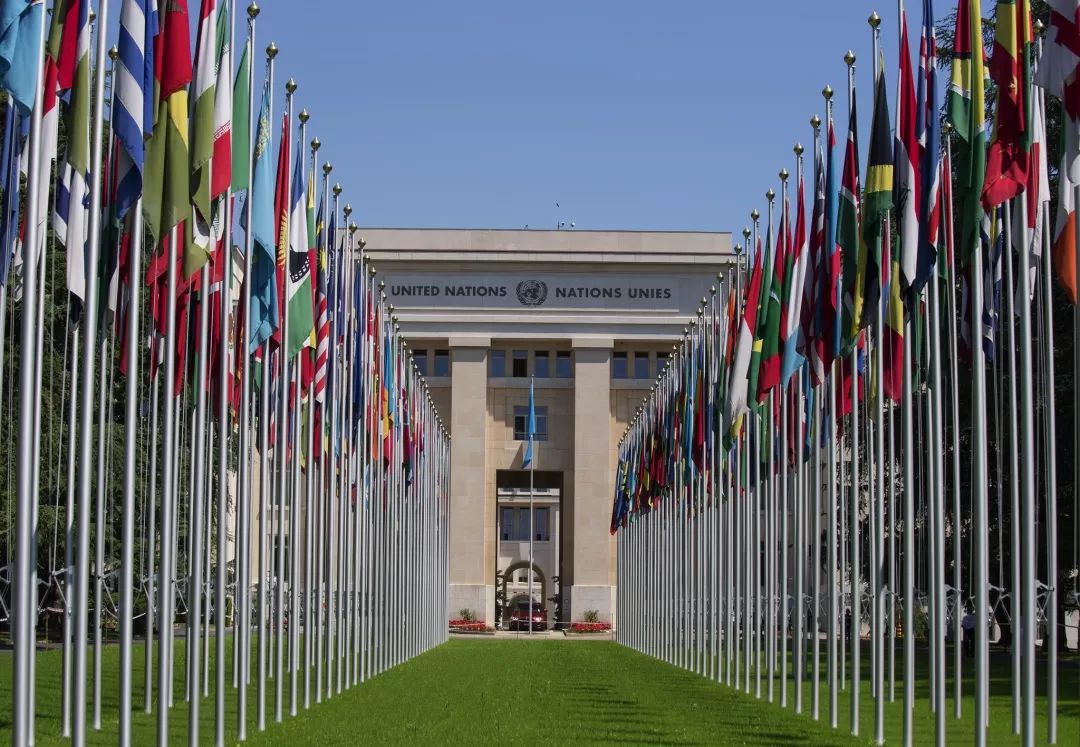 这个黄金周做点酷的事第11届联合国社会论坛千禧青年代表团开始招募