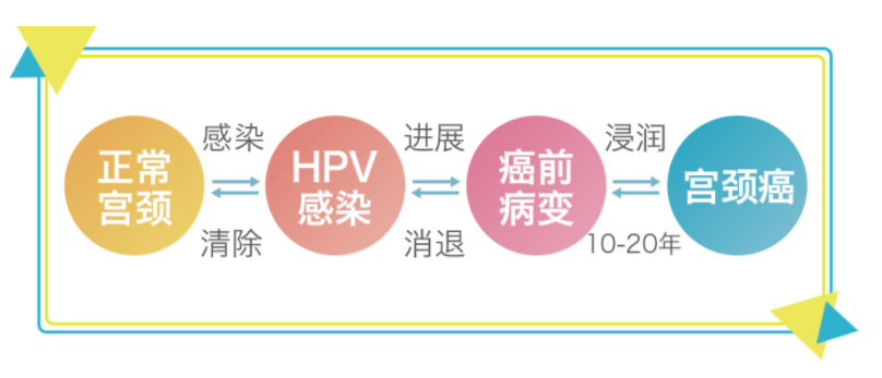 对付hpv病毒,关键在于免疫力!