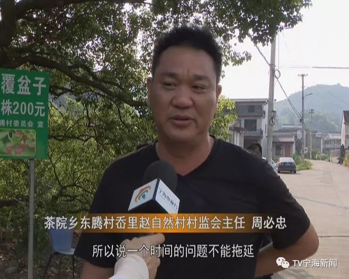 茶院乡东滕村岙里赵自然村村监会主任 周必忠项目落地的时间不能拖延