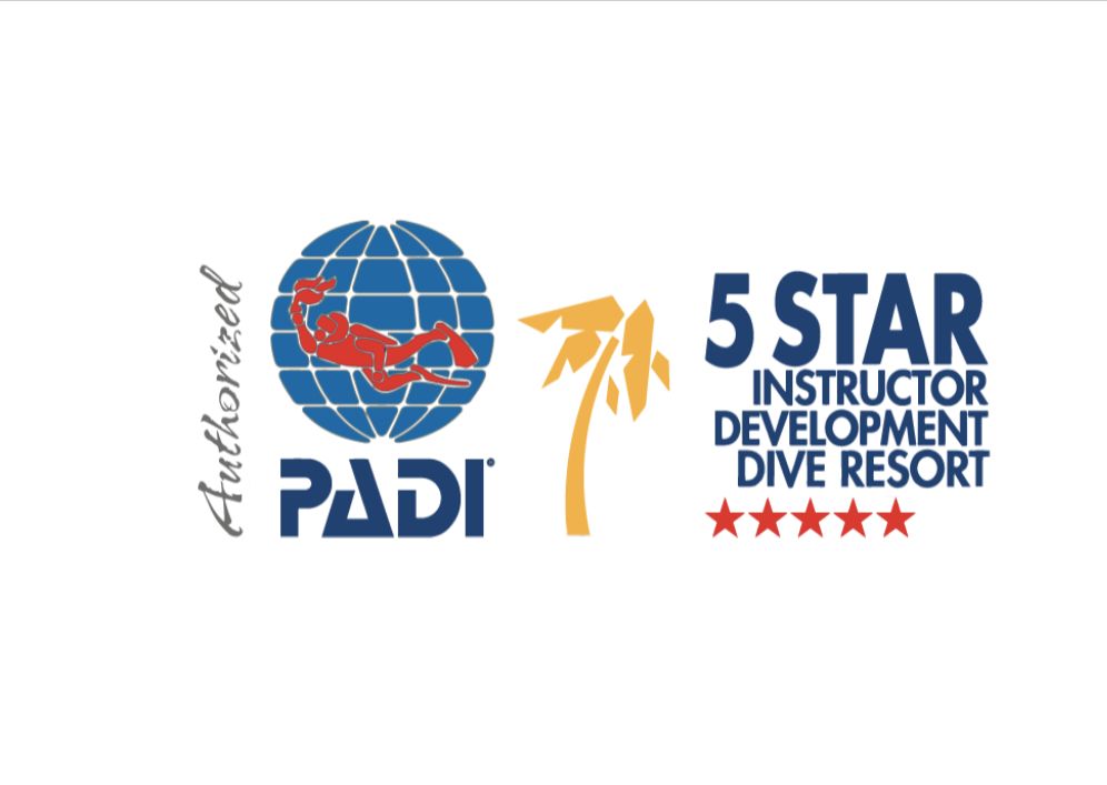 padi全球打卡巴厘岛海王潜水俱乐部