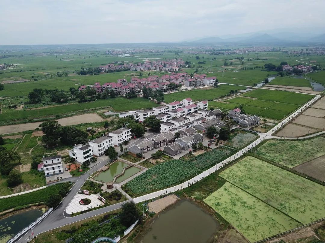 蓑衣,斗笠,八仙桌,泛黄的家谱……走进樟树市永泰镇车埠村沈家村小组