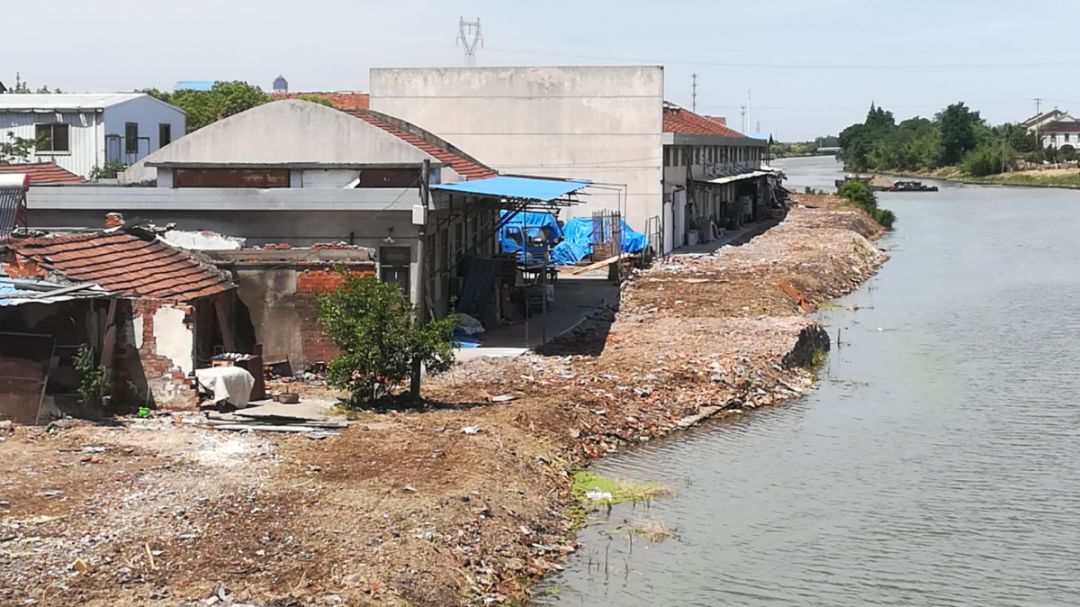 苏州市领导巡河碧溪·_白茆塘