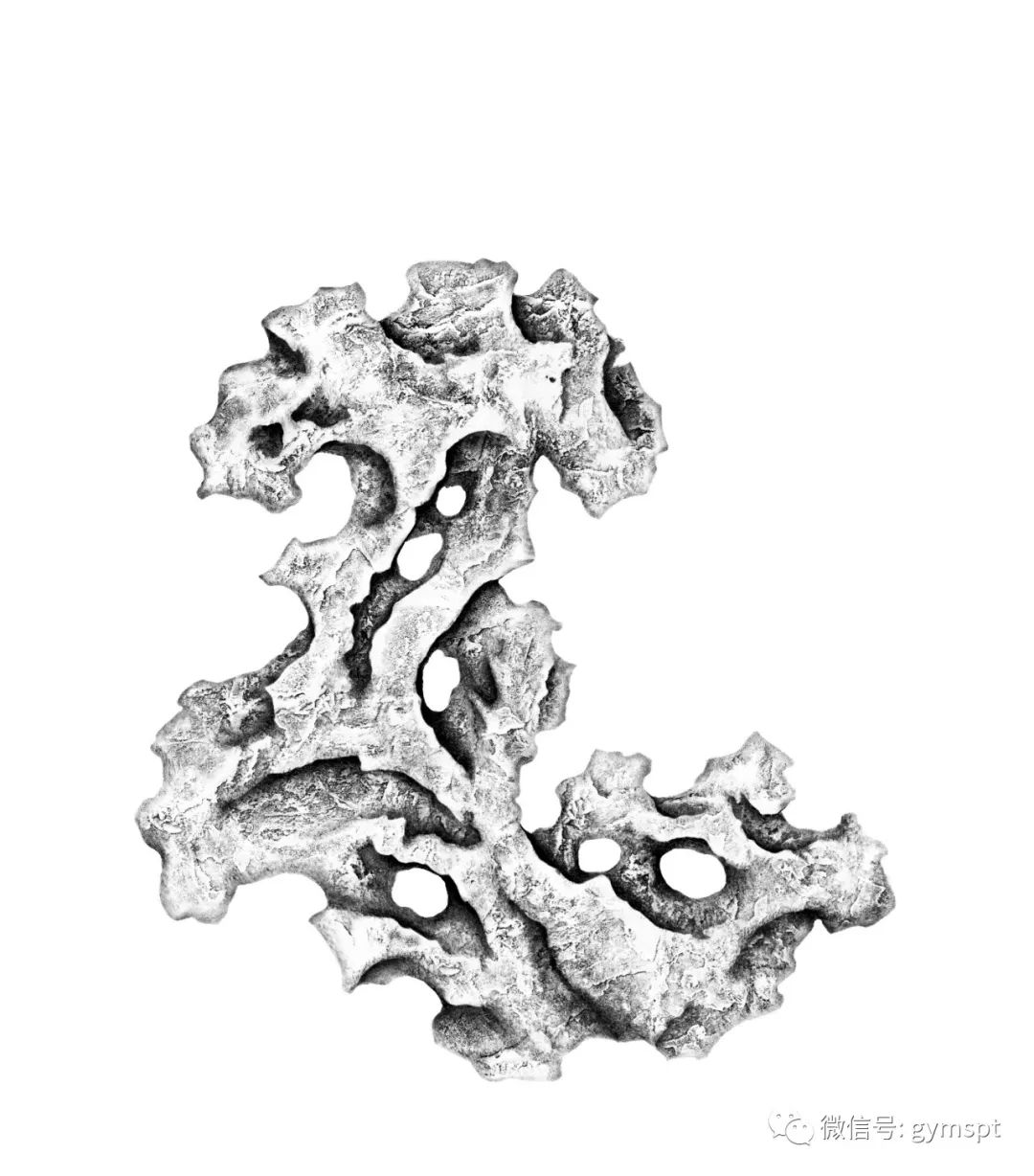 张洪雷的赏石全形拓