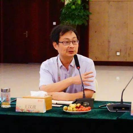 寿仙谷康寿制药总经理王汉波王汉波总经理就寿仙谷的核心技术,产品