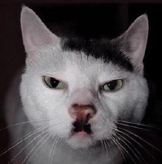 竟活脱脱像万恶的希特勒