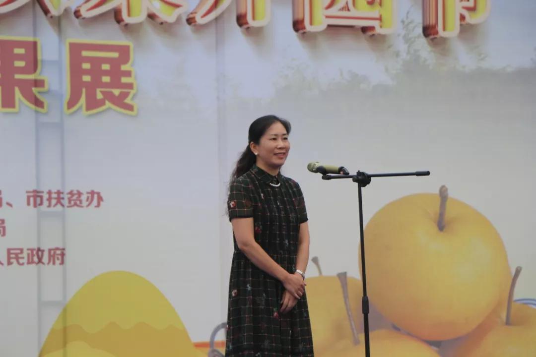 被誉为南方梨王矮寨高山金秋梨今日开园