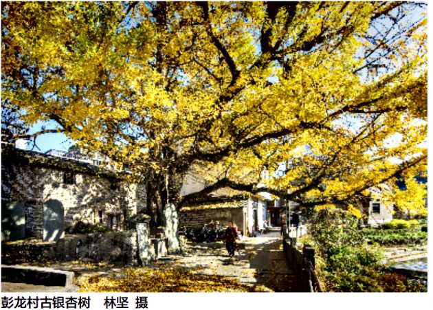 祁门:皖南风情彭龙村_摄影
