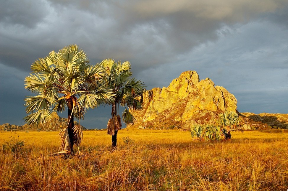 1/10马达加斯加岛,作为非洲第一,世界第四大的岛屿,全岛由火山岩构成.