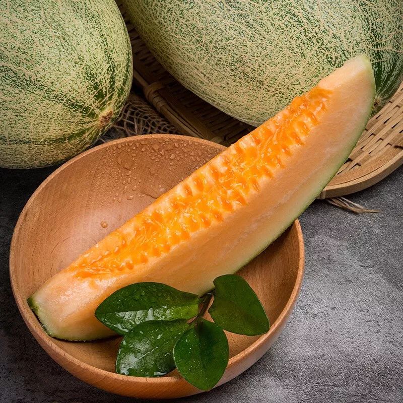 来自沙漠的戈壁甜瓜不一样的营养甘甜