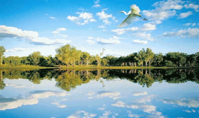 639_378gif 动态图 动图