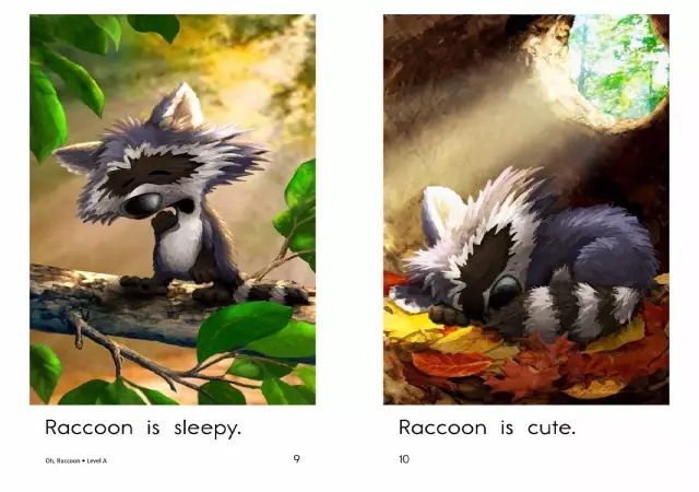 儿童早教英语raza级ohraccoon