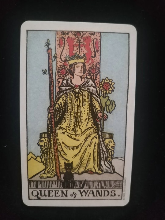 卓然的塔罗日记——权杖皇后(正位)