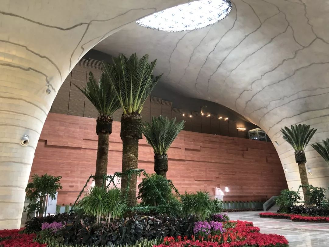 大同大剧院8月12日已正式运营12场绝美演出门票免费领