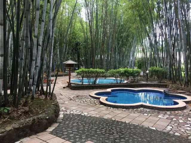 龙脉竹林温泉图片