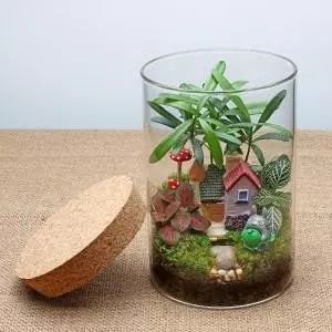 生态瓶,就是"将少量的植物,以这些植物为食的动物和其他非生物物质