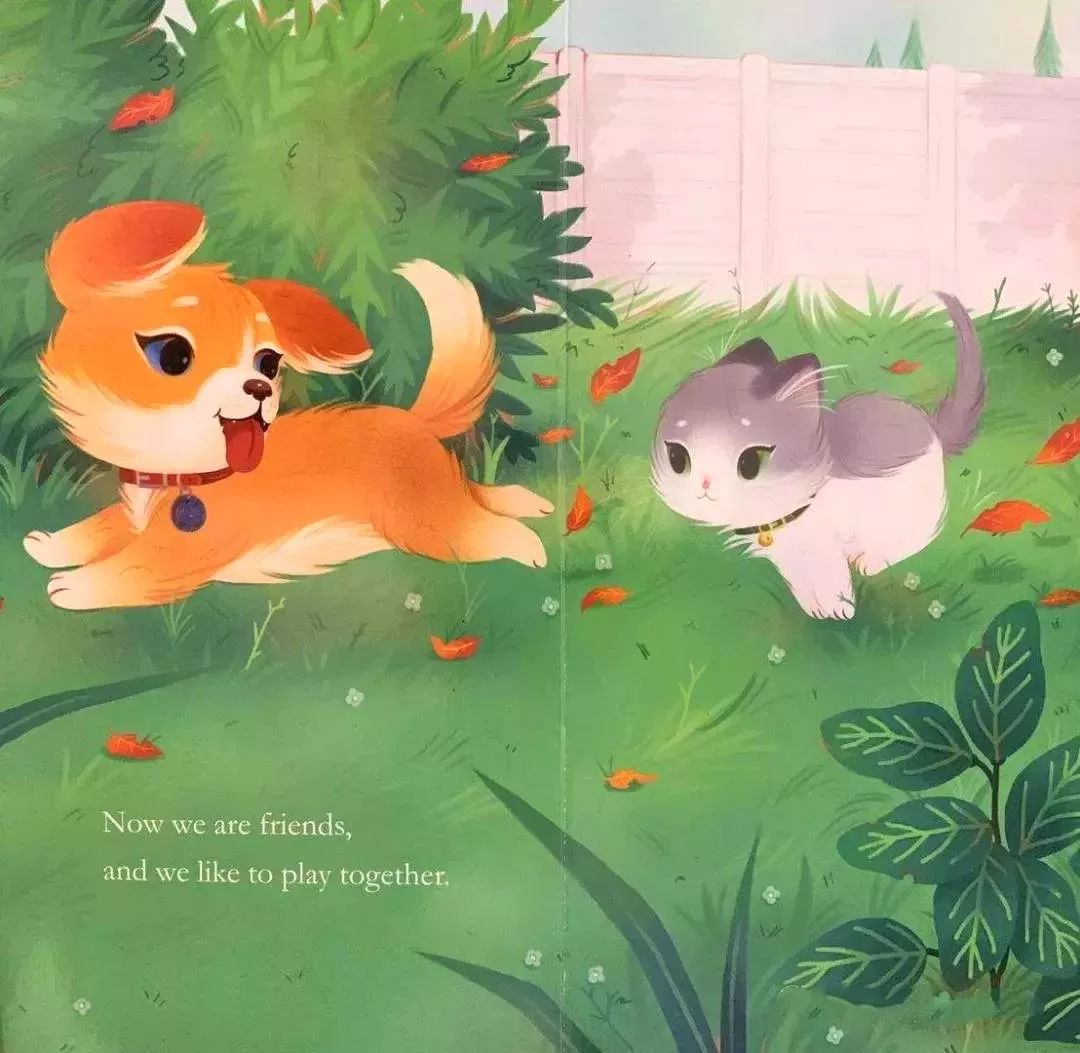 when i first met puppy,we were afraid of each other.