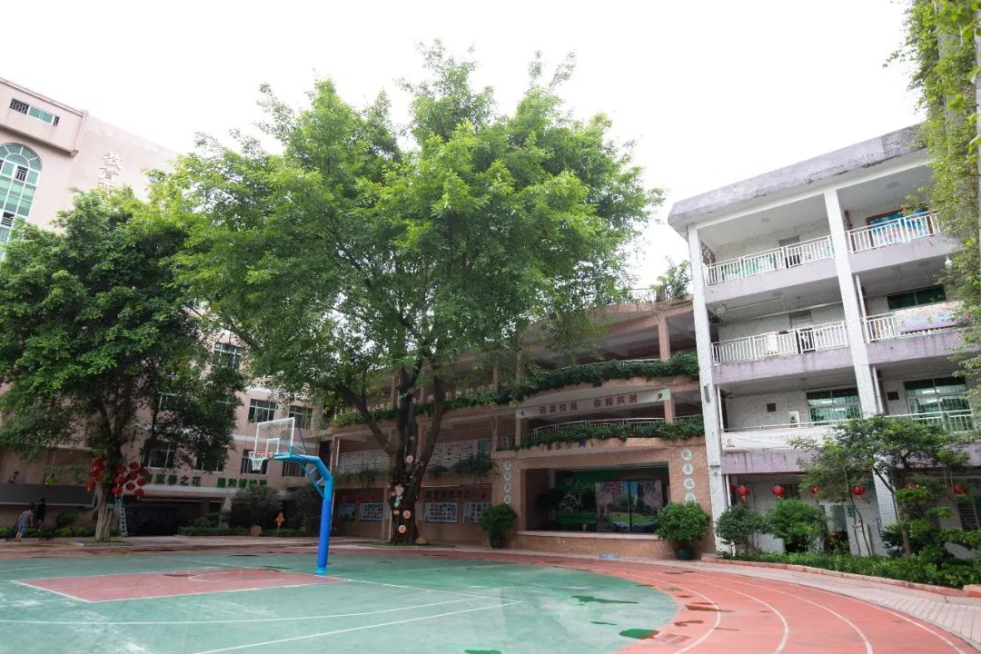 面积大两倍学位增加1080个莞城中心小学分校扩建工程今日开工