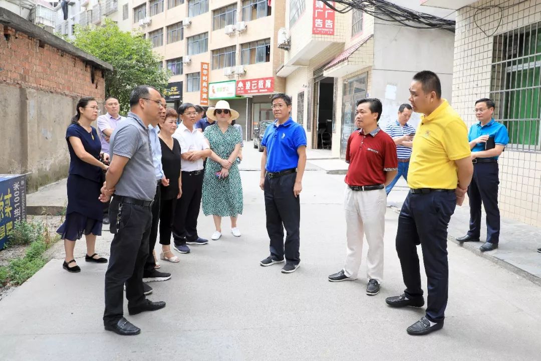 审核/梁辉明 编辑/李强供稿/区党政办,社会发展局,新能源新材料产业办