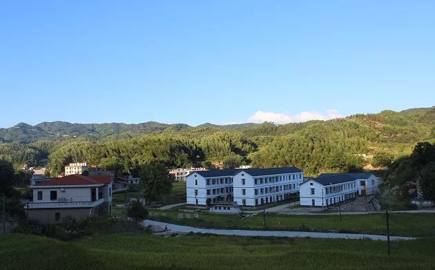 耒阳导子吴双成昔日有名的上访专业户北京通如今他