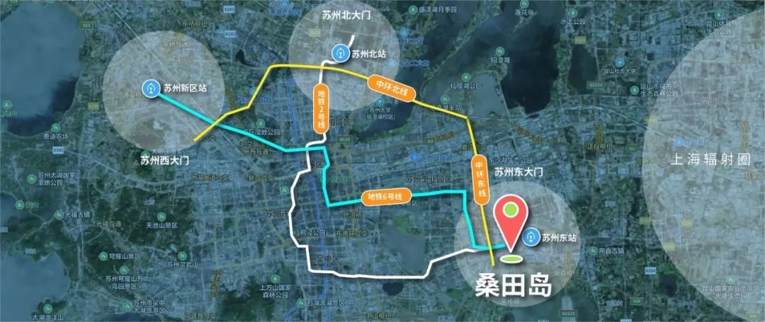 自贸区来了桑田岛vs科技城苏州硅谷胜负已分