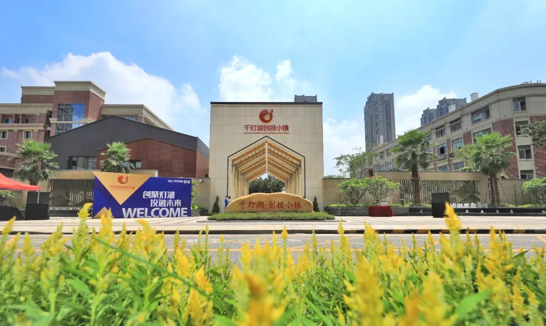 看完就想去有颜又多金的千灯湖创投小镇藏着满满的财富机会