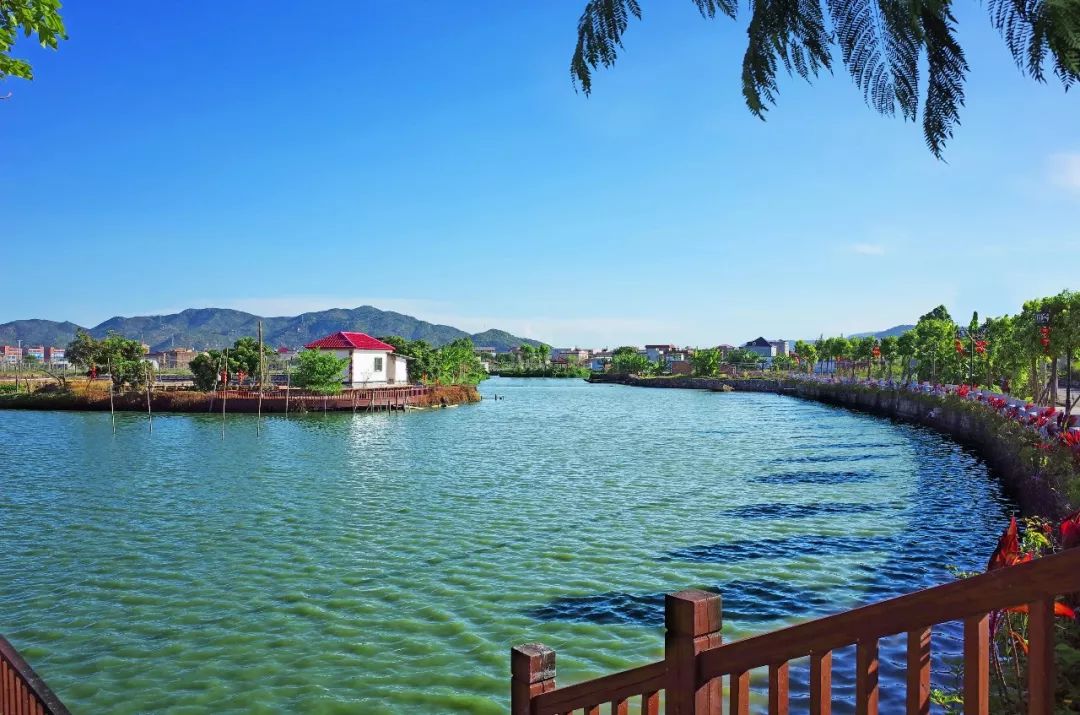 喜讯龙海这个村入选省四星级乡村旅游村