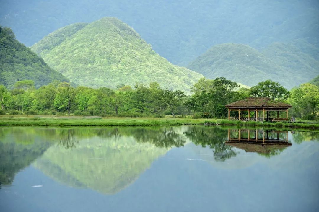 美色美景恩施神農架