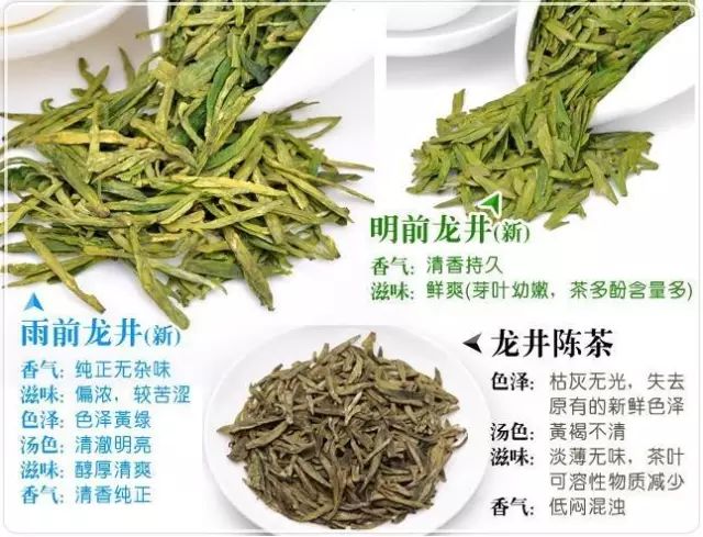 西湖龙井丨无味之茶乃至味也