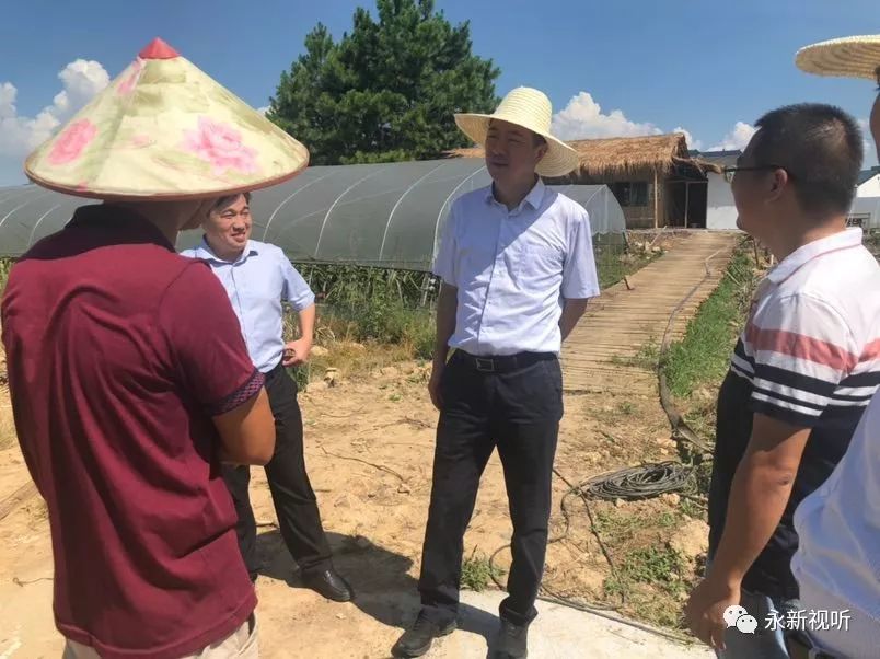 县委书记肖兵深入乡镇调研扶贫产业发展和农村环境整治