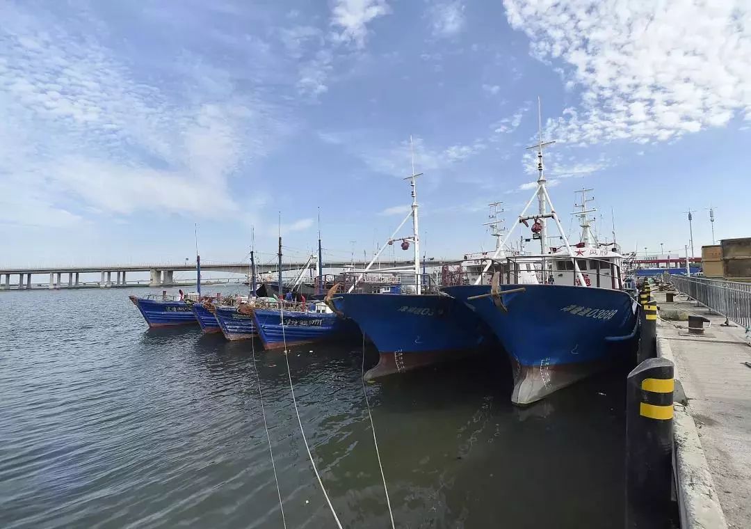 距离开海只剩2天最复古的北塘海鲜一条街来啦