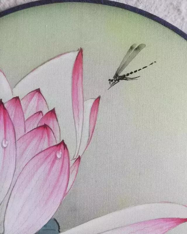 工笔团扇荷花豆娘绘制步骤