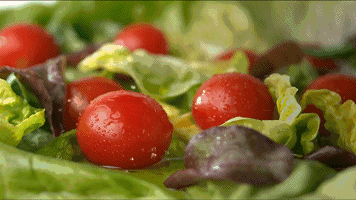 356_200gif 动态图 动图