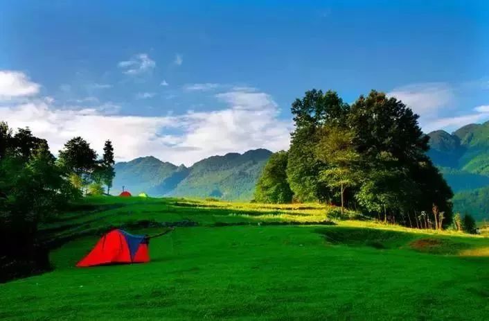 赏波斯菊数繁天星周末去这里安营扎寨吧