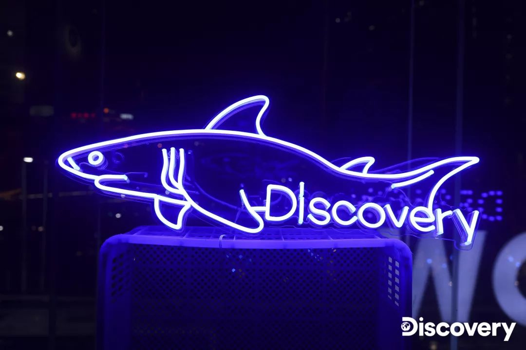 鲨鱼先生今日营业中,欢迎你的光临