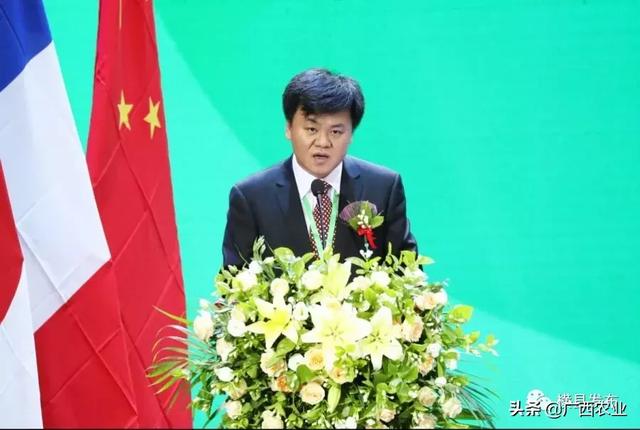 首届世界茉莉花大会暨第十一届全国茉莉花茶交易博览会2019年中国横县