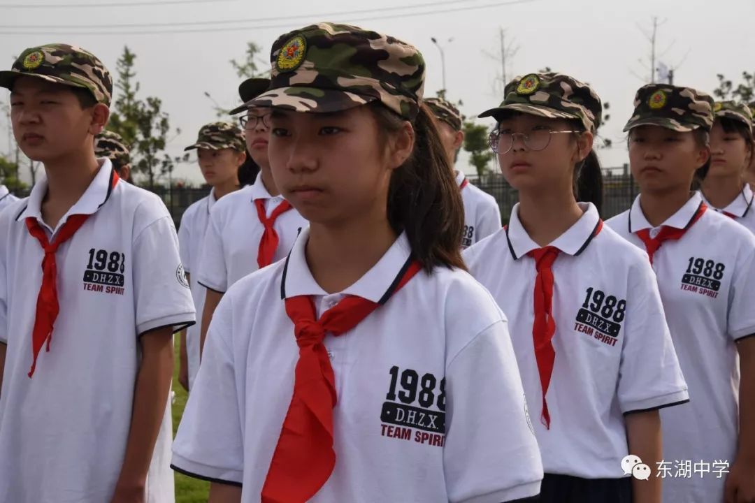 平湖市东湖中学校徽图片