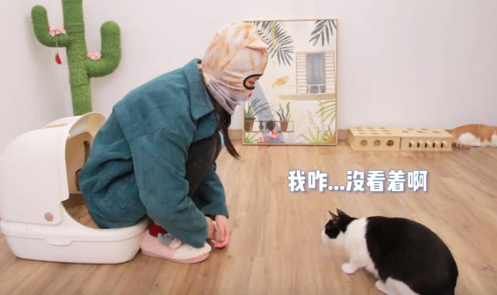 女主为教猫咪上厕所，全程示范给它，男主一看笑出8块腹肌