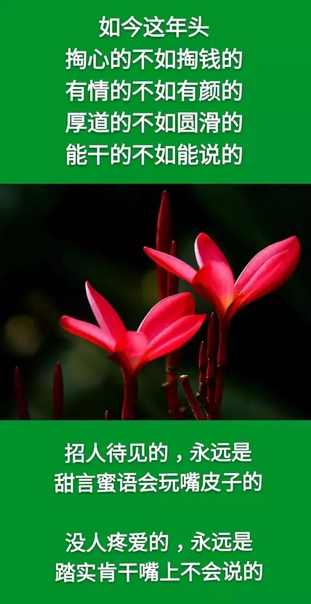 实干的不如会说的图片图片