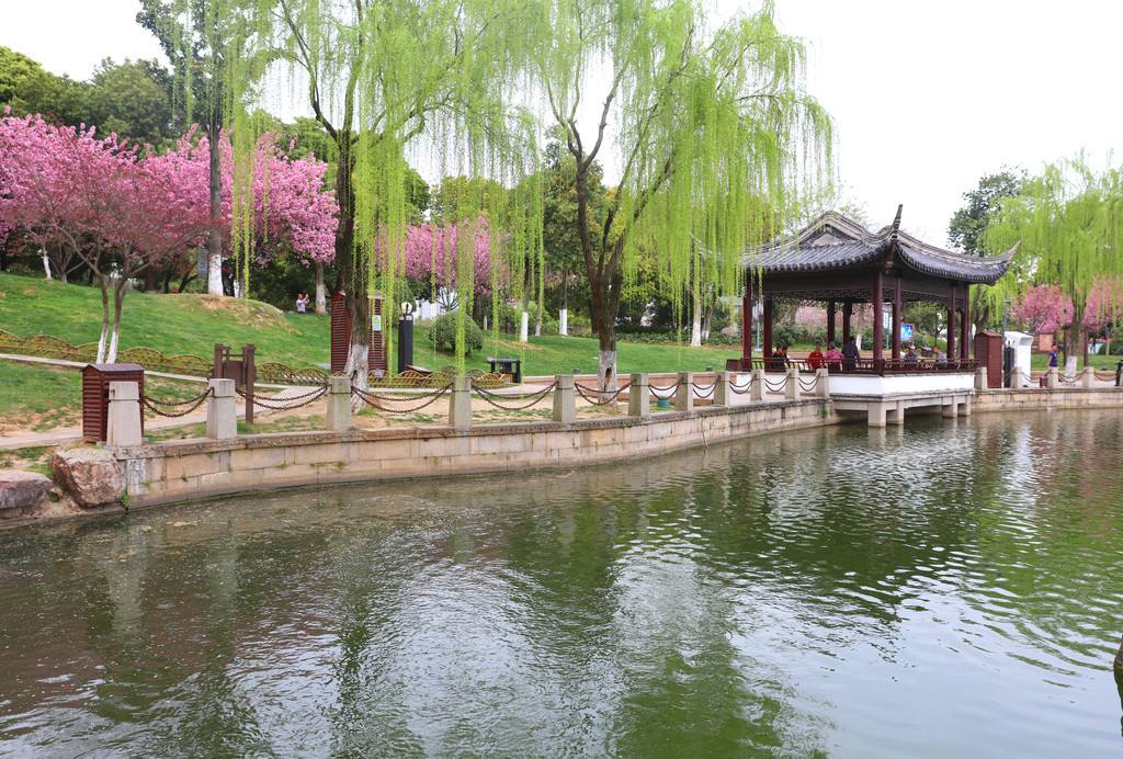 张家港城市建设,是以王府广场为中心,向周边扩张的.