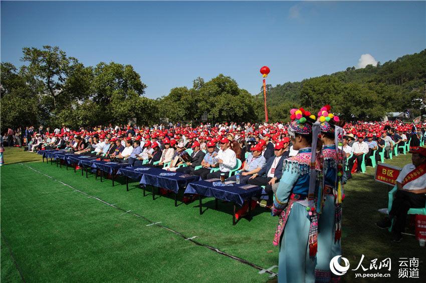 2019年云南·大理漾濞核桃节开幕 漾濞核桃助力乡村振兴