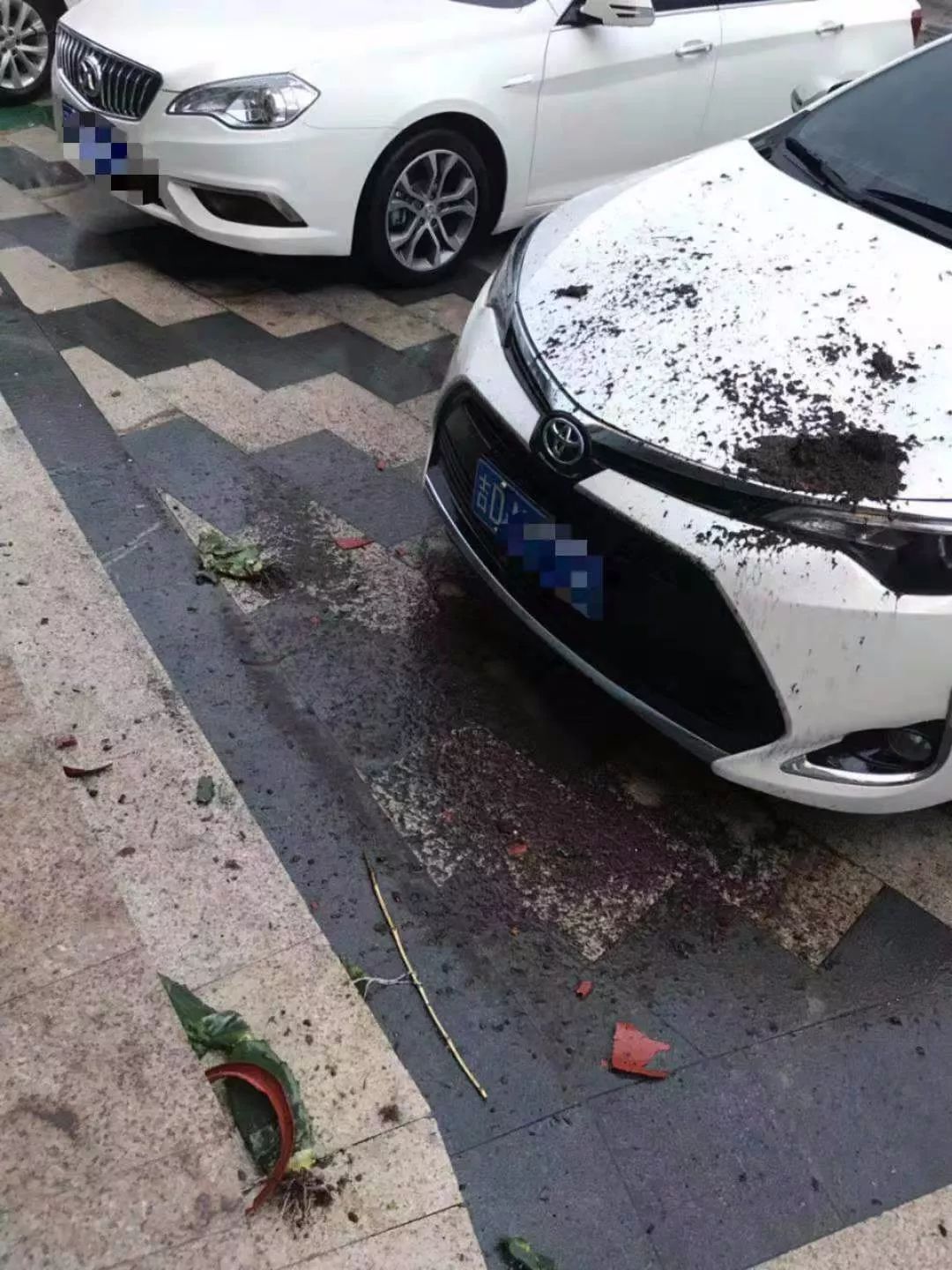 一周新闻辽源交警被人偷拍花盆从天而降砸车