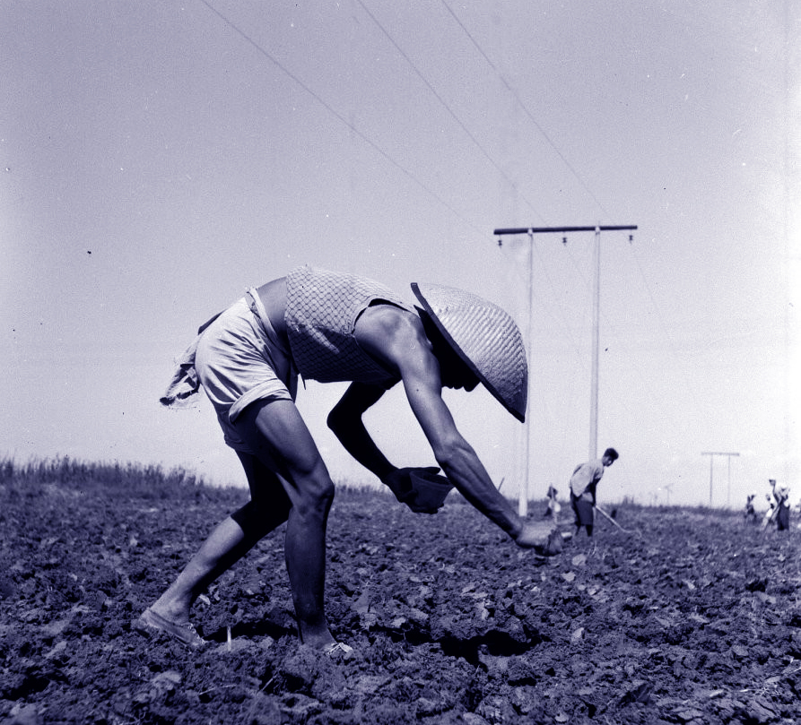 珍贵照片记录1959年的中国