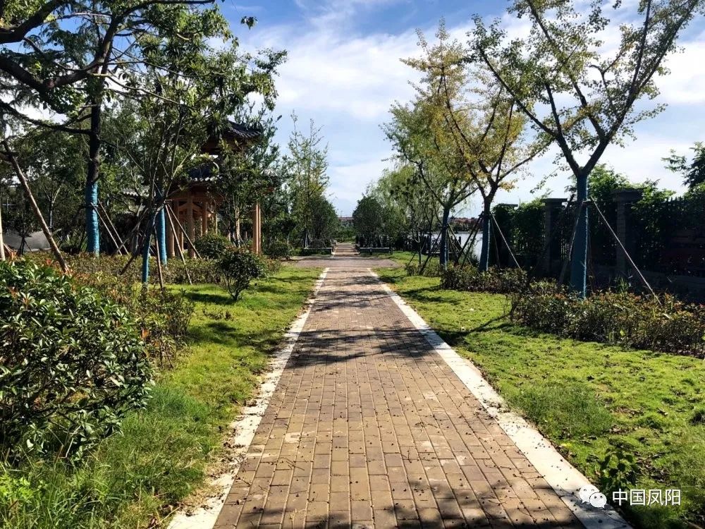 凤阳又新添一处公园风景如画位置就在