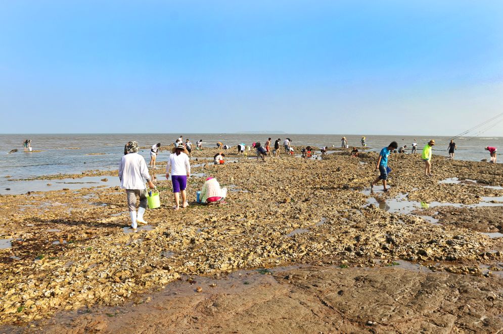 收藏开海啦大连最全赶海地图和时间表