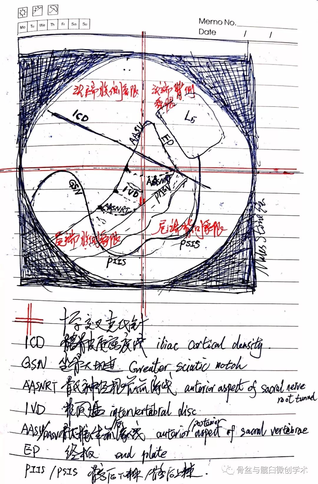 就骶髂螺钉导针进针点建立及指向调整的若干核心问题